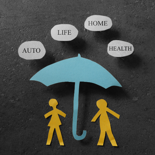 insurewisewithanu